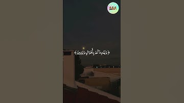شيخ فارس عباد سورة نوح - Sheikh Faris Abbad, Surat Nooh