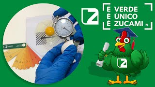 Critérios de excelência: 🥚 Como determinar a qualidade de um ovo