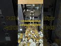 call 9799687497//pattal Dona Machine Jaipur//dona pattal machine Jaipur.#pattaldonamachinejaipur
