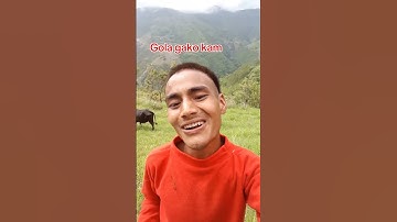 ratai vari nidnid xina sajha jhamijhami Jamie #nepali #nepali #lokgiti #lokgit