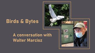A Conversation with Walter Marcisz