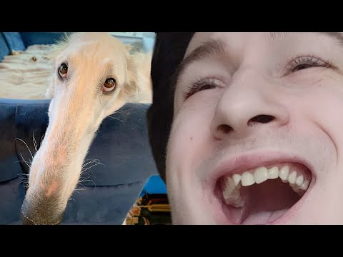 Discord sense of humor