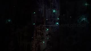 Thousands of glowworms lighting up a cave like a galaxy — Waitomo 🌌 #shorts #travelshorts #travel