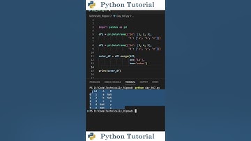 Outer Join in Pandas Explained in One Minute | Python Tutorial