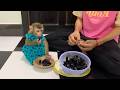 Tiny Monkey Snack Time 🍇❤️ Cutest Moments Ever!