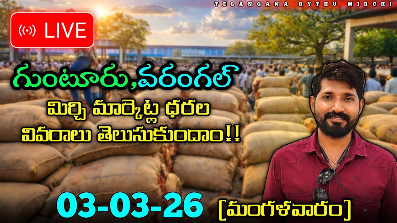 KHAMMAM MIRCHI MARKET AND COTTON WARANGAL గుంటూరు UPDATES TELANGANA RYTHU is live