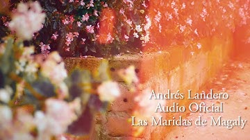 Las Miradas de Magaly - Andrés Landero y Su Conjunto / Discos Fuentes