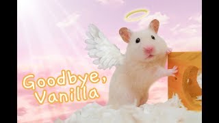 Goodbye, Vanilla 💔