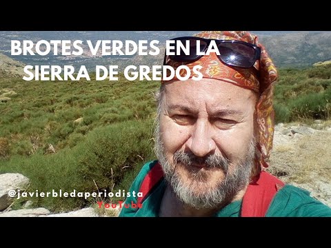 LOS BROTES VERDES DE GREDOS
