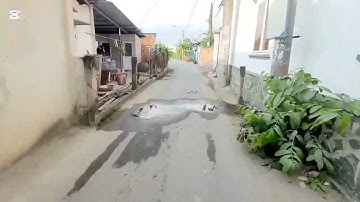 bán Đất thổ cư đường ô tô 750 triệu.100mv...100 mv.. xã Mỹ lộc huyện cần giuộc Long An