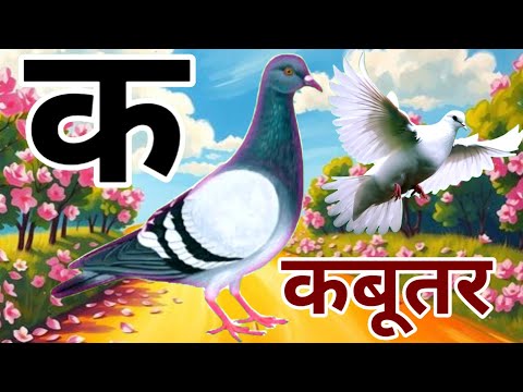 अ से अनार | आ से आम | a se anar | aa se aam | क से कबूतर | K