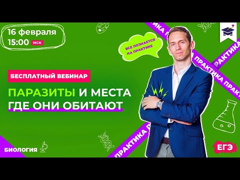 Паразиты и где они обитают