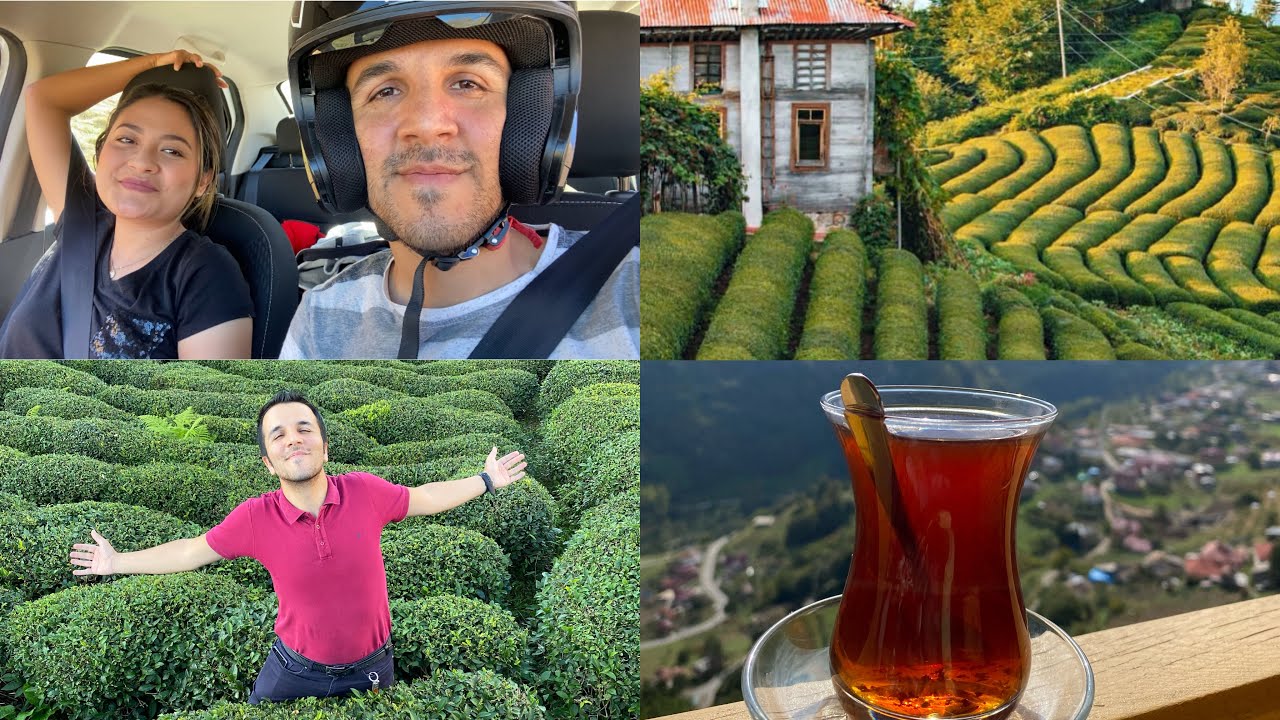 Así son las Fincas del Çay “Té Turco” en Rize (El Mar Negro)