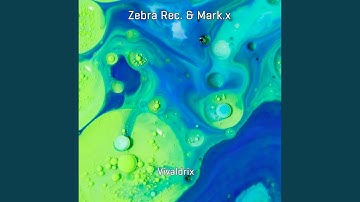 Visare in Eter (Marincu Remix)