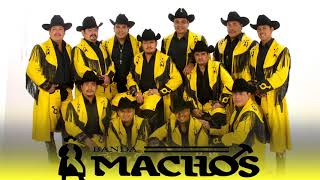 Banda Machos - Puras Rancheras