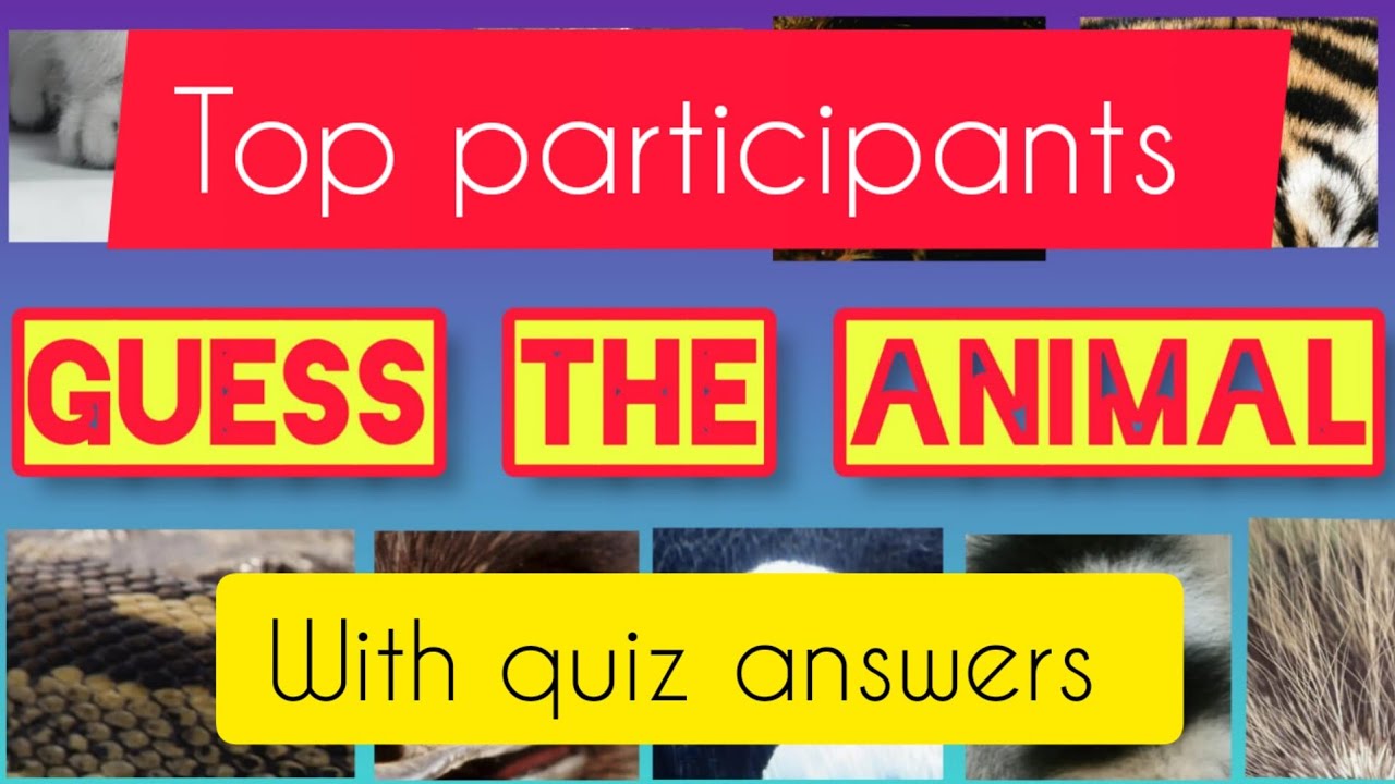 Guess the animal quiz top participants and answers
