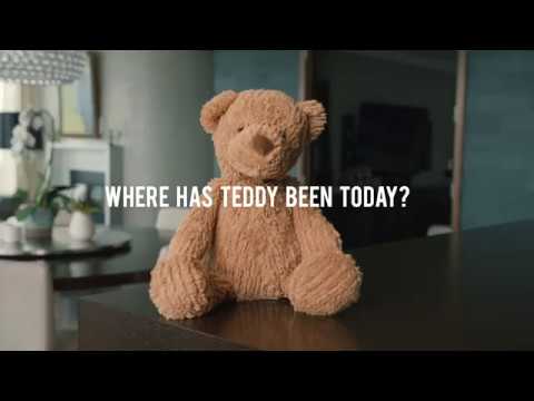 teddy needs a bath net worth