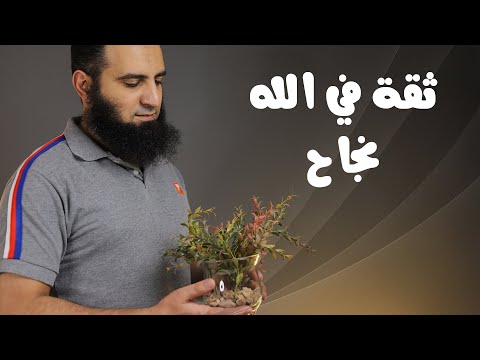 ثقة في الله نجاح برنامج قلبك أبيض م علاء حامد