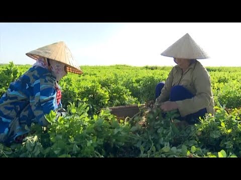 Thu nhập cao