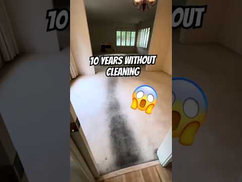 10 YEARS Of Dirt Pulled From This Carpet Carpetcleaning Cleaningtransformation
