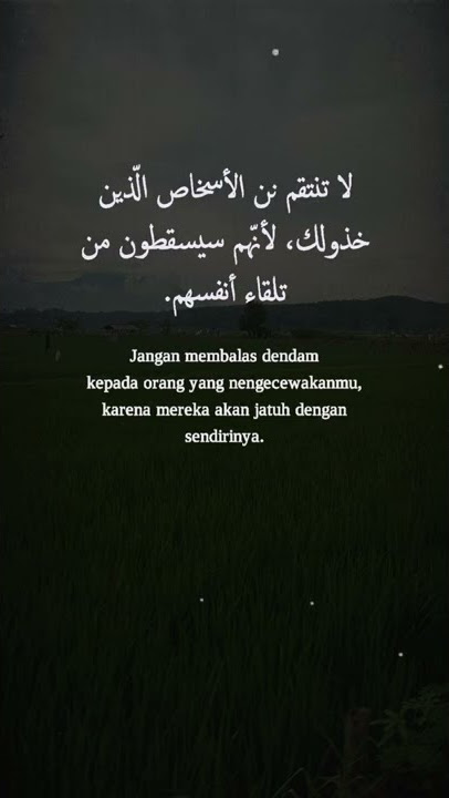 jangan pernah dendam (status wa)