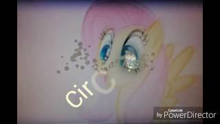 Circus pmv