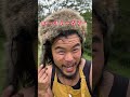 【新装備】ハクビシンのヘッドギア #shorts