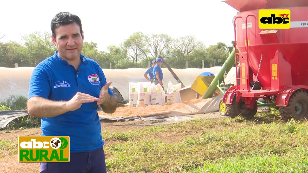 Mezcla de concentrado con maíz a grano entero