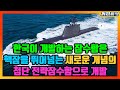 새로운 한국의 전략잠수함 한국이 갖고 있는 모든 첨단 기술을 몰빵해 개발하는 이유