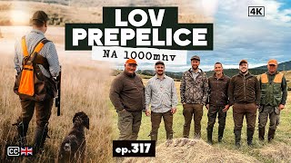 Download Lagu Lov Najmanje Poljske Koke na 1000 m nadmorske visine/ Quail hunting over 1000 m altituteude E317 MP3 Download Lagu Lov Najmanje Poljske Koke na 1000 m nadmorske visine/ Quail hunting over 1000 m altituteude E317 MP3