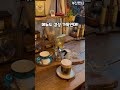 토토로? 마중냥이?! 동화 찢고 나온 포레스트뷰 카페🐈☕