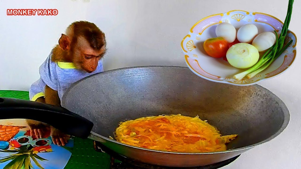 Baby Monkey Kako Sit Waiting To Eat Fried Eggs