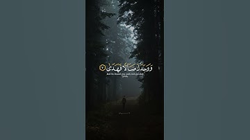 اكتب شي تؤجر عليه ♡✨️ | القارئ محمد المنشاوي رحمه الله | قرأن كريم