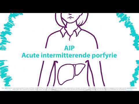 Acute hepatische porfyrie: Wat gebeurt er in het lichaam?