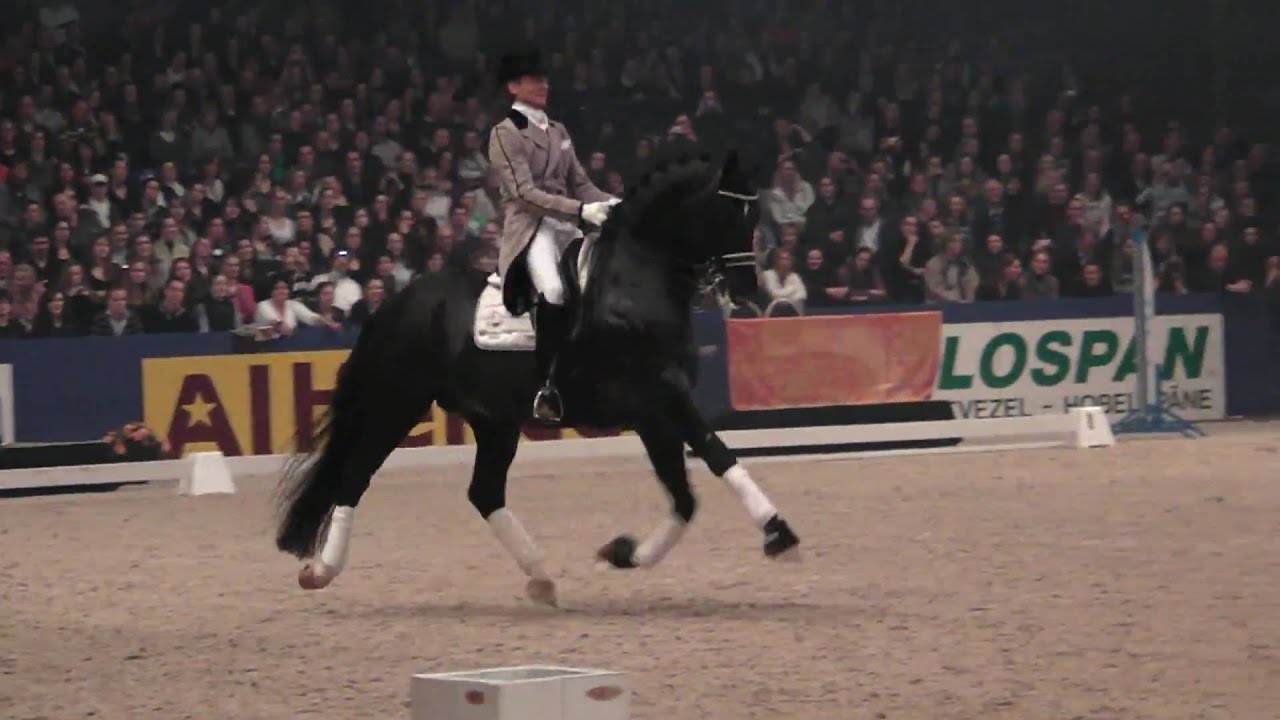 Edward Gal Totilas : The Virtual Equestrian Stuttgart 2009 Edward Gal And Totilas Make History : Il le dresse à l'aide de la technique controversée du rollkur, remarque la grande qualité de ses allures, et en fait son cheval de tête.