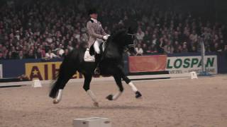 : Totilas and Edward Gal - KWPN Hengstenkeuring 2010 Den Bosch HD 1080i