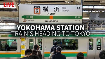 Yokohama Station Trains to Tokyo (Transfer Adventure)