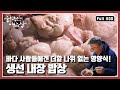 [한국인의밥상★풀버전] 어물전에선 버려지는 것이 당연한 신세인 줄 알았던 🐟생선 내장이 바다 진미로 재탄생했다! “속 깊은 맛, 생선 내장 밥상” (KBS 20151119 방송)