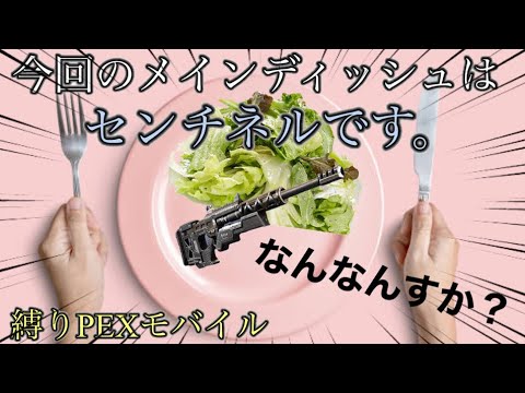 【ゆっくり実況】なんででしょうね...【エペモバ】