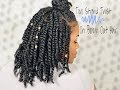 Two Strand Twist On Blown Out Hair