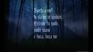 Nocte Canto In Interlingua