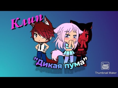 Дикий лайф последнее ютуб