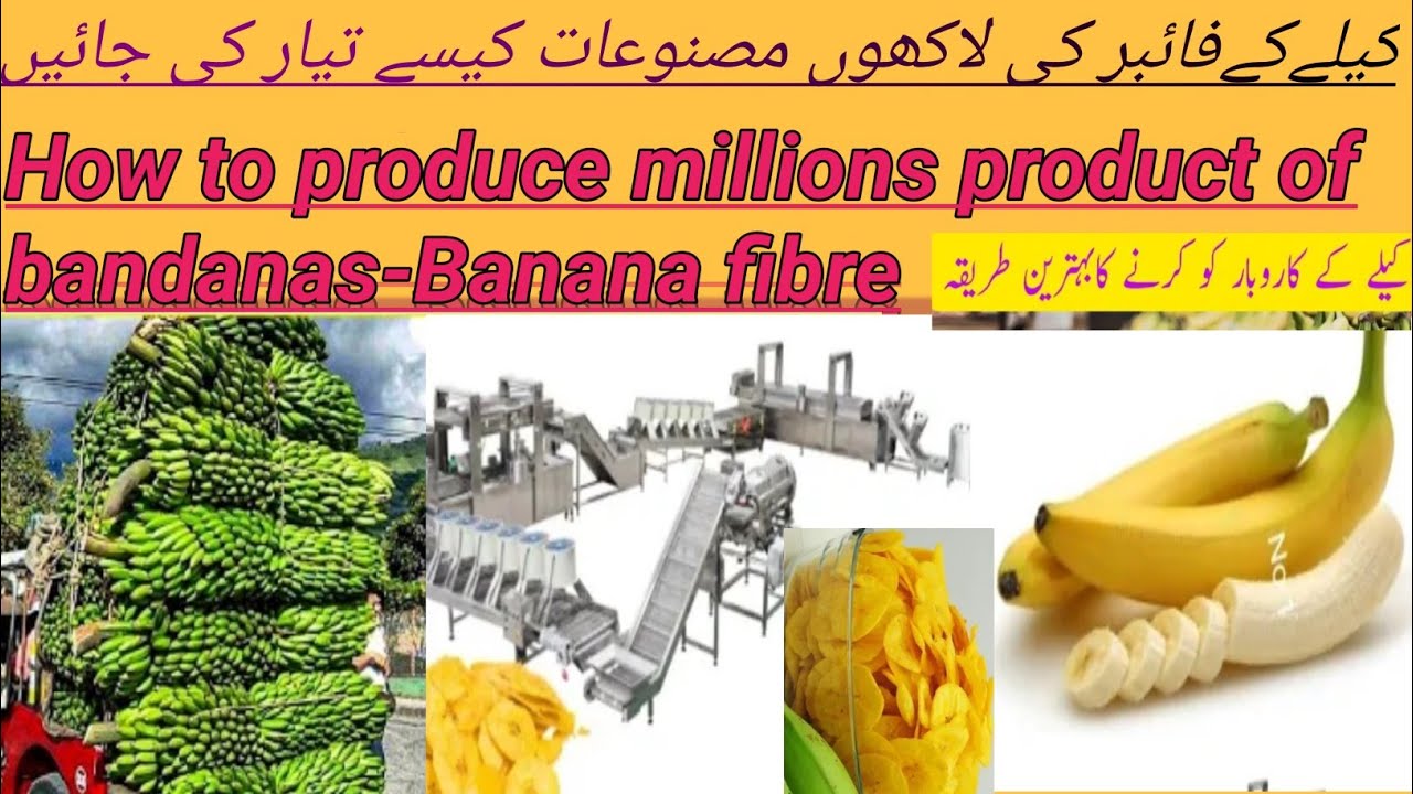 How to produce millions product banana in english/کیلے کی لاکھوں مصنوعات کیسے تیار کی جائیں