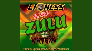 Lioness - Zulu