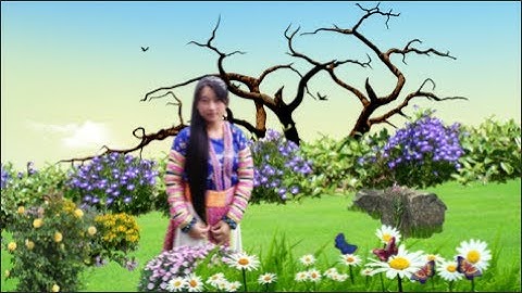 Hướng dẫn tạo style proshow năm 2017 (Qhia ua style proshow producer 5.0 - 6.0)