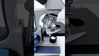 Did You Know What A Dragon Fruit Looks Like Under The Microscope