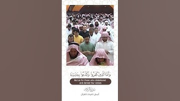 تلاوة جميلة ~ ياسر الدوسري #quran