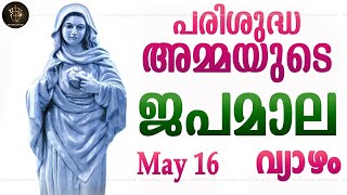 Rosary Malayalam I Japamala Malayalam I May 16 Thursday 2024 I Luminous Mysteries I 6.30 PM