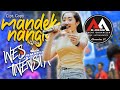 MANDEK NANGIS - INEZ TINENSIA | AA JAYA MUSIC VERSI NENG NONG