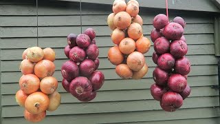 Stringing Onions